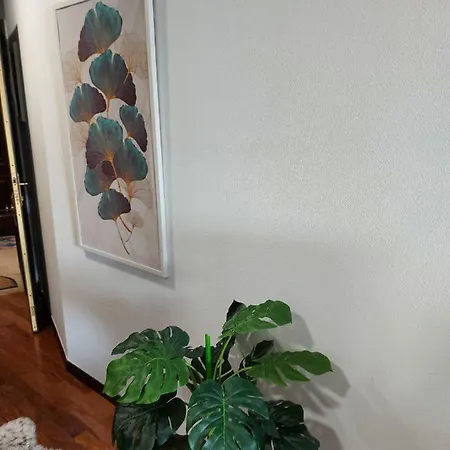 Apartmán Acogedora En *